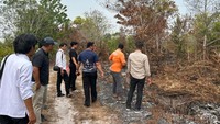 'Pria Senter' Pelaku Karhutla Kalteng: Awal Mula hingga Jadi Tersangka