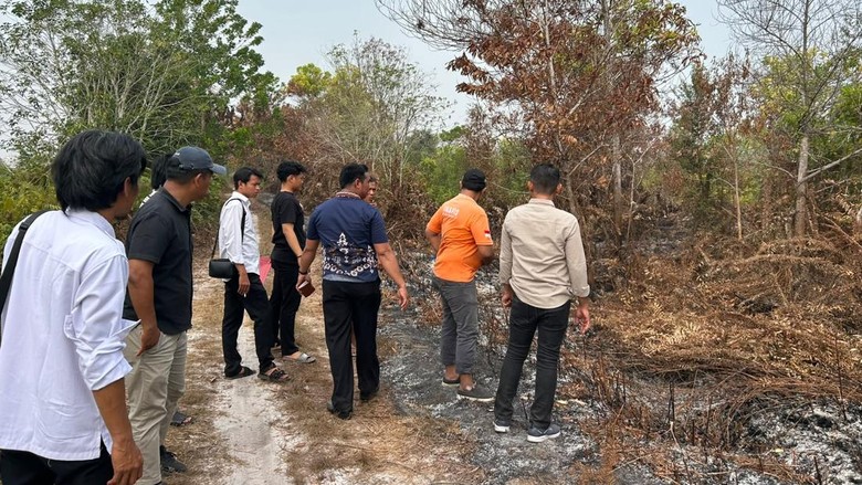 Detik-detik 'Pria Senter' Bakar Lahan di Kalteng Dipergoki Bocah
