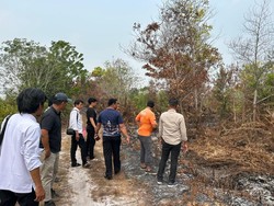 Detik-detik Pria Senter Bakar Lahan di Kalteng Dipergoki Bocah