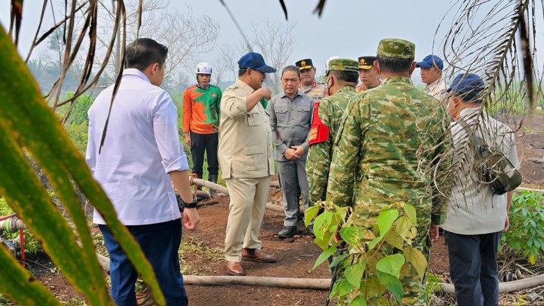 Arahan Prabowo soal Karhutla Saat Cek Langsung ke Kalimantan