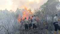 Taman Nasional Way Kambas Dilalap Api, Pemadaman Terhambat Akses
