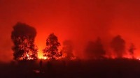 Way Kambas Terbakar di Tengah Kemarau, Api Masih Belum Padam