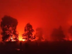 Way Kambas Terbakar di Tengah Kemarau, Api Masih Belum Padam