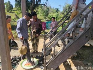 Mengenal Mappaende, Tradisi Syukuran Hasil Bumi Warga Bulo Polman