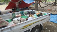 Trauma Gempa, 1.812 Warga Sikka NTT Mengungsi di Area Terbuka