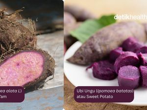 Perbandingan Nutrisi Ube vs Ubi Ungu, Mana yang Lebih Sehat?