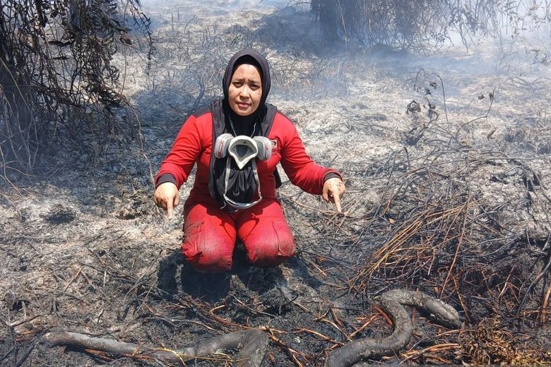 Karhutla Mengancam Satwa, Ular-Trenggiling Ditemukan Mati di Kalbar