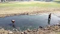 Waduk di Gresik Surut, Anak-anak Manfaatkan Kubangan untuk Berburu Ikan