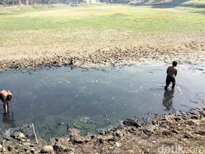 Waduk di Gresik Surut, Anak-anak Manfaatkan Kubangan untuk Berburu Ikan