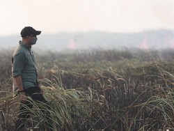 Kebakaran di TN Way Kambas Sudah Padam, Gajah-gajah Dipastikan Aman