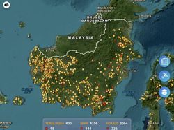 Marak Karhutla di Kalimantan, Kenapa Bagian Tengah Pulau Relatif Aman?