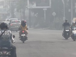 BMKG Sebut Kabut Asap Selimuti Jambi Kiriman dari Sumsel dan Lampung