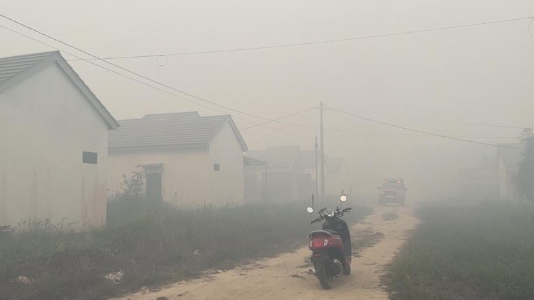 9.307 Titik Hospot Terdeteksi di Kalsel, Paling Banyak di Tapin