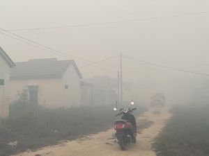 9.307 Titik Hospot Terdeteksi di Kalsel, Paling Banyak di Tapin