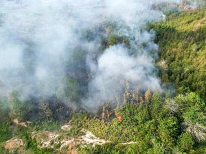 Sederet Langkah Pemerintah Tangani Karhutla, Terkini Instruksi Mendagri