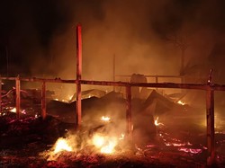 2 Kandang di Manyaran Boyolali Terbakar, 18 Ribu Ayam Mati Terpanggang