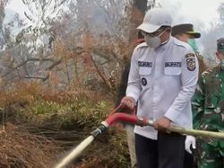 Bupati Pelalawan Liburkan Sekolah yang Terdampak Kabut Asap Karhutla