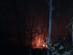 50 Are Lahan di Jembrana Dilalap Api gegara Warga Bakar Sampah