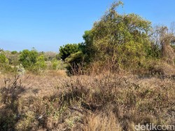 Musim Kemarau Tiba, 3 Kecamatan di Karangasem Berpotensi Kekeringan