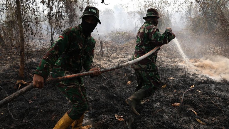Polisi Sebut Pelaku Bakar Hutan untuk Buka Lahan Sawit
