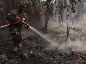 369 Hektare Lahan di Kukar Terbakar, Kebanyakan Milik Perusahaan
