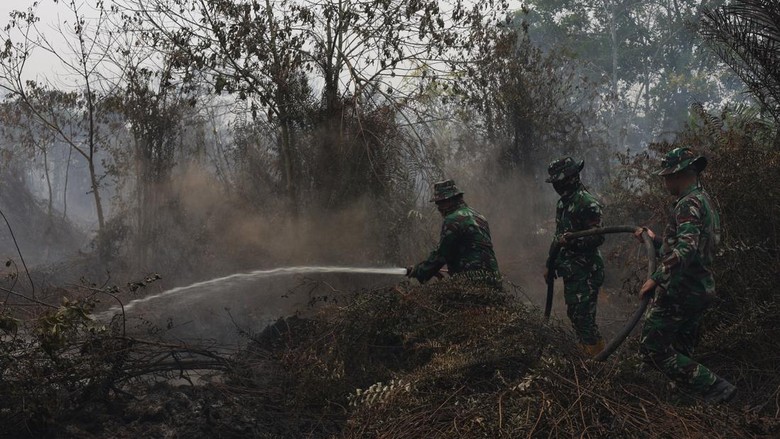 Meningkat Pesat, Korban Terdampak Karhutla di RI Tembus 10 Juta Orang!