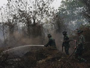 Video: Gimana Nasib Satwa Saat Karhutla? Ini Kata Pakar BRIN