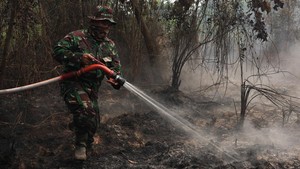 Karhutla Capai 38.310 Hektare, Ancaman Asap Terus Mengintai