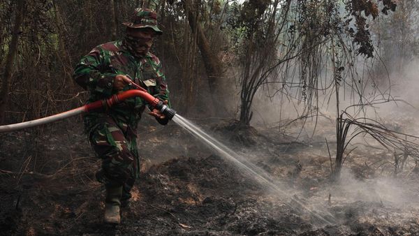 Karhutla Capai 38.310 Hektare, Ancaman Asap Terus Mengintai