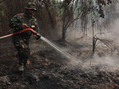 Karhutla Capai 38.310 Hektare, Ancaman Asap Terus Mengintai