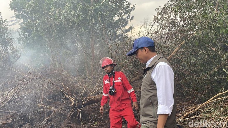 Menhut Akui Karhutla Gambut 'Bandel': Pemadaman Harus Detail