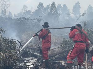 3 Cara Cek Kebakaran Hutan, Bisa Pakai Google Maps