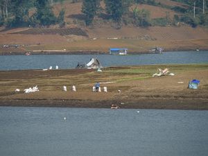Kemarau Panjang, Situ Cileunca Menyusut hingga 40 Meter