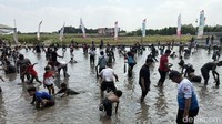 Serunya Warga Kediri Berebut Tangkap Belut di Sawah