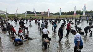 Serunya Warga Kediri Berebut Tangkap Belut di Sawah