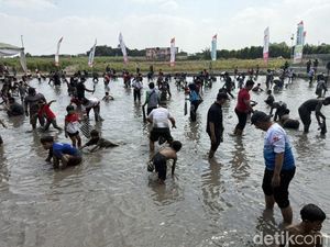 Serunya Warga Kediri Berebut Tangkap Belut di Sawah