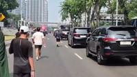 Fortuner-Alphard Masuk Area CFD, Disebut Terindikasi Pelanggaran