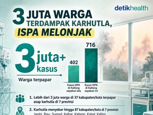 Infografis: Lebih dari 3 Juta Warga Terpapar Asap Karhutla, Kasus ISPA Melonjak