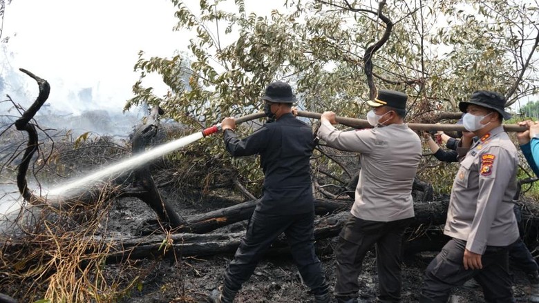 Kapolda Sebut Hotspot di Riau Tersisa 79 Titik, Karhutla di Kerumutan Zero