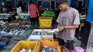 Cuaca Ekstrem Bikin Harga Ikan Laut di Sidoarjo Naik