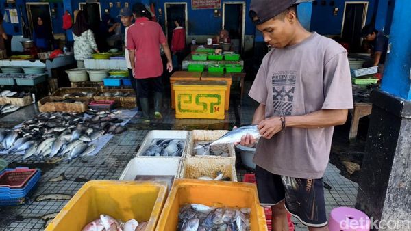 Cuaca Ekstrem Bikin Harga Ikan Laut di Sidoarjo Naik