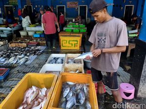 Cuaca Ekstrem Bikin Harga Ikan Laut di Sidoarjo Naik