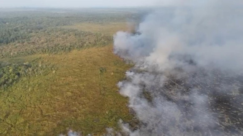 Way Kambas Belum Padam, Tim Lapangan Kumpulkan Bahan Penyebab Kebakaran