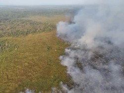 Way Kambas Belum Padam, Tim Lapangan Kumpulkan Bahan Penyebab Kebakaran