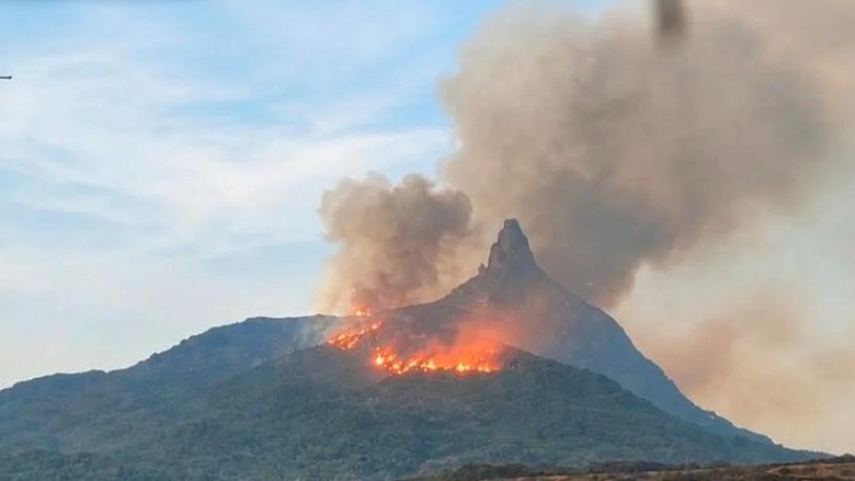 350 Hektare Lahan di Kaki Bukit Serelo Lahat Terbakar, Pemadaman Manual