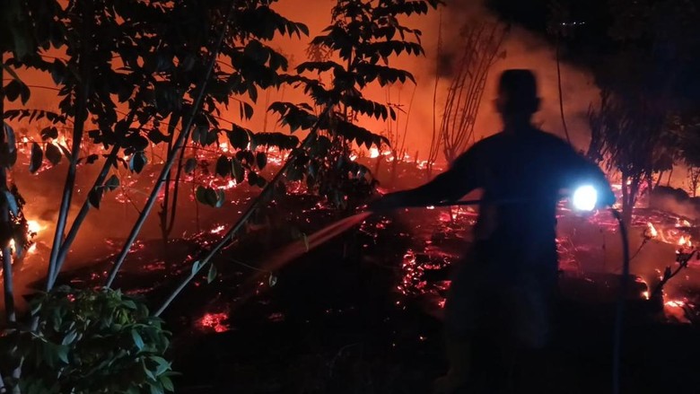 54,25 Hektare Terdampak Kebakaran Hutan dan Lahan di Trenggalek