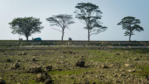 Kemarau Berkepanjangan, Waduk Sumur Karang Tangerang Kini Mengering
