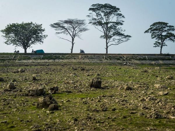 Kemarau Berkepanjangan, Waduk Sumur Karang Tangerang Kini Mengering