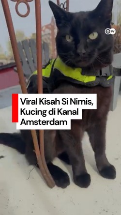 Video: Kenalin Nih Si Nimis, Polisi Berkaki 4 Punya Amsterdam