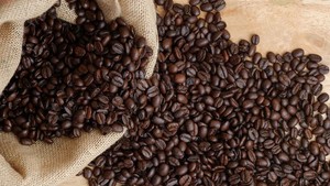 Jejak Pahit-Manis Kopi Priangan: Dari VOC hingga Mendunia